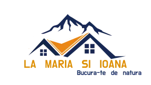 logo-lamariasiioana